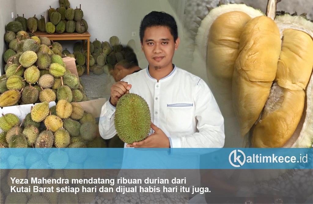 Rahasia Durian yang Fenomenal di Samarinda, Jual Habis Ribuan dalam Sehari