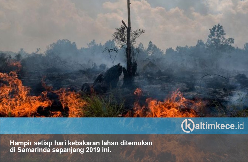 Kebakaran Lahan Teror Samarinda di Musim Penghujan