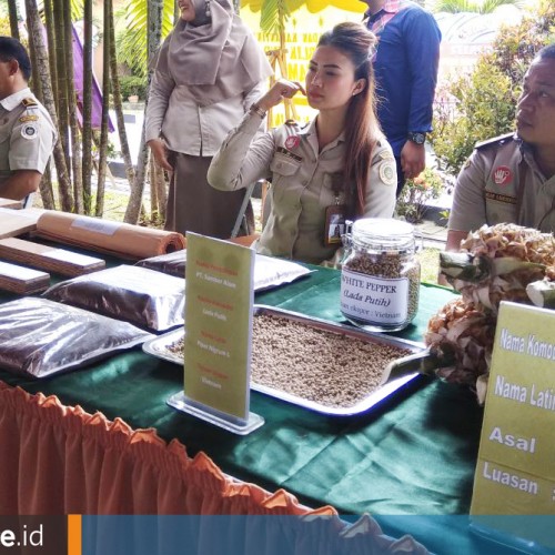 Lada Putih Biji, Komoditas Unggulan Kaltim yang Menembus Vietnam