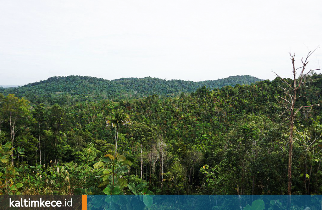 Pengembangan Ibu Kota Sasar Muara Jawa, Isran Noor Redakan Isu Lingkungan