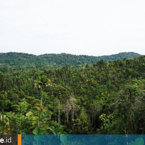 Pengembangan Ibu Kota Sasar Muara Jawa, Isran Noor Redakan Isu Lingkungan