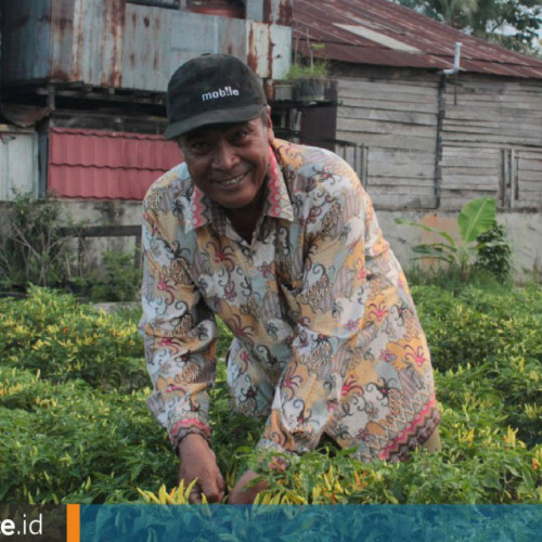 Bertemu Murtono, Guru SMP yang Berkebun di Tepi Landasan Pacu Bandara Temindung