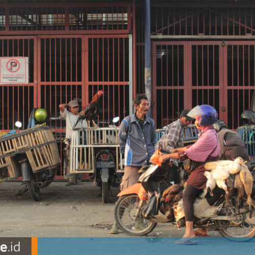 Potret Jalan Jenderal Sudirman yang Setiap Pagi Disulap Jadi Pasar Unggas