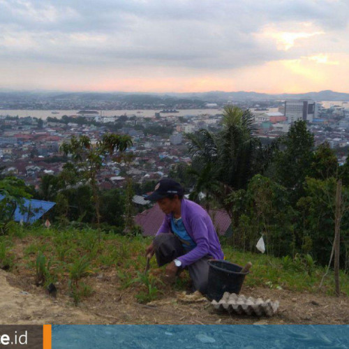 Berkebun di Perbukitan, Khas Suku Buton di Samarinda