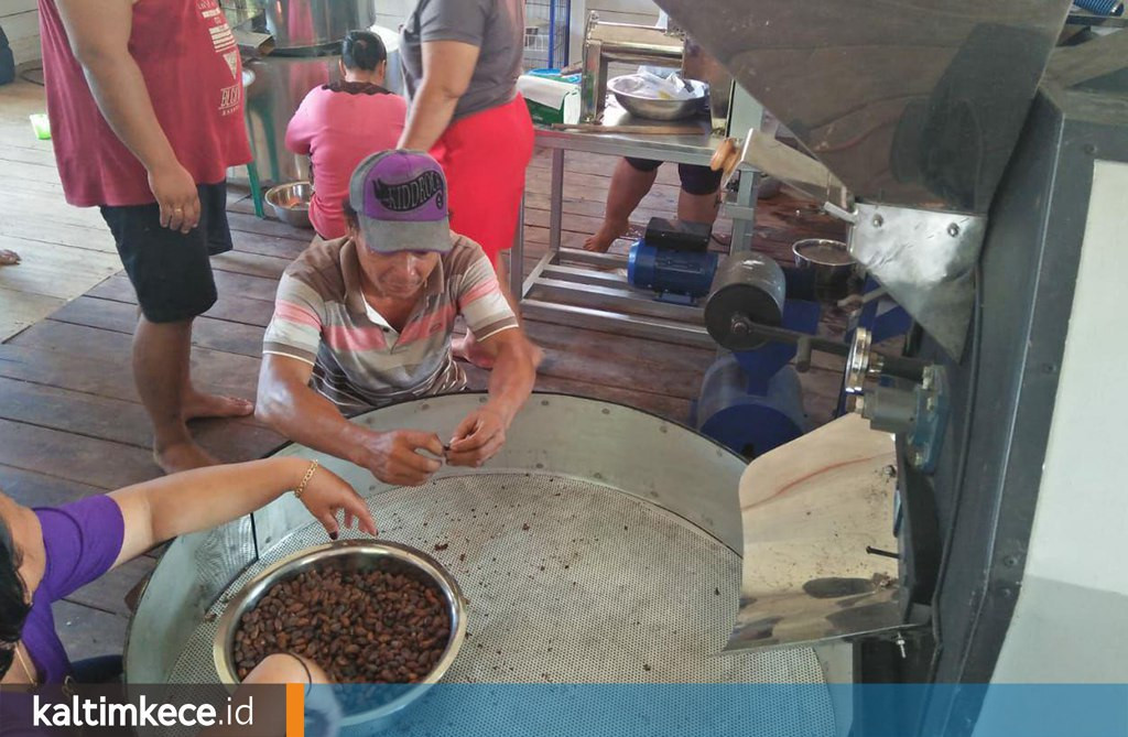 Kelompok Tani di Long Isun Sudah Mampu Bikin Minuman Bubuk dari Kakao