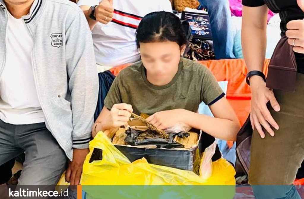 Mahasiswi Samarinda Terima Kiriman 2,5 Kilogram Ganja dari Medan