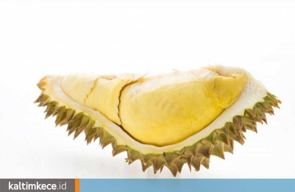 Mengenal Durian pada Masa Lampau di Kalimantan, Raja Buah yang Kelezatannya Diakui Dunia