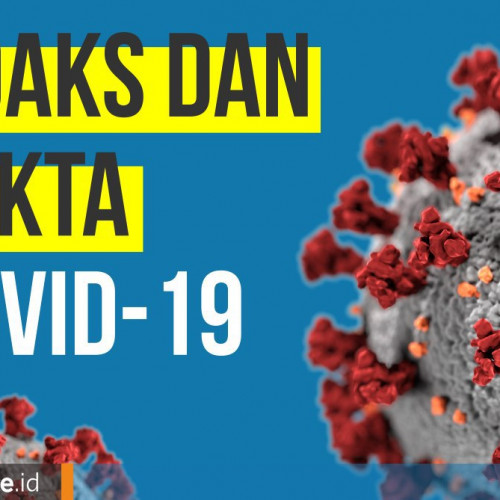 Selusin Hoaks Seputar Virus Corona dan Fakta-Faktanya