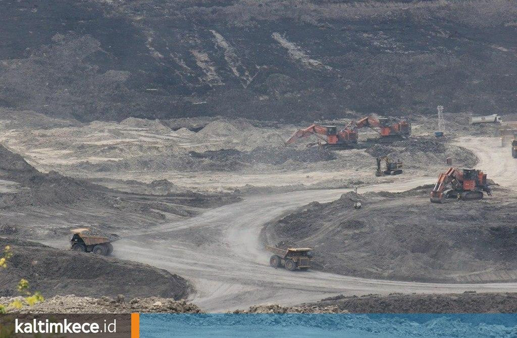 Kerja Sama dengan Berau Coal di Site Sambarata Berakhir, PT SIS PHK Seluruh Karyawan