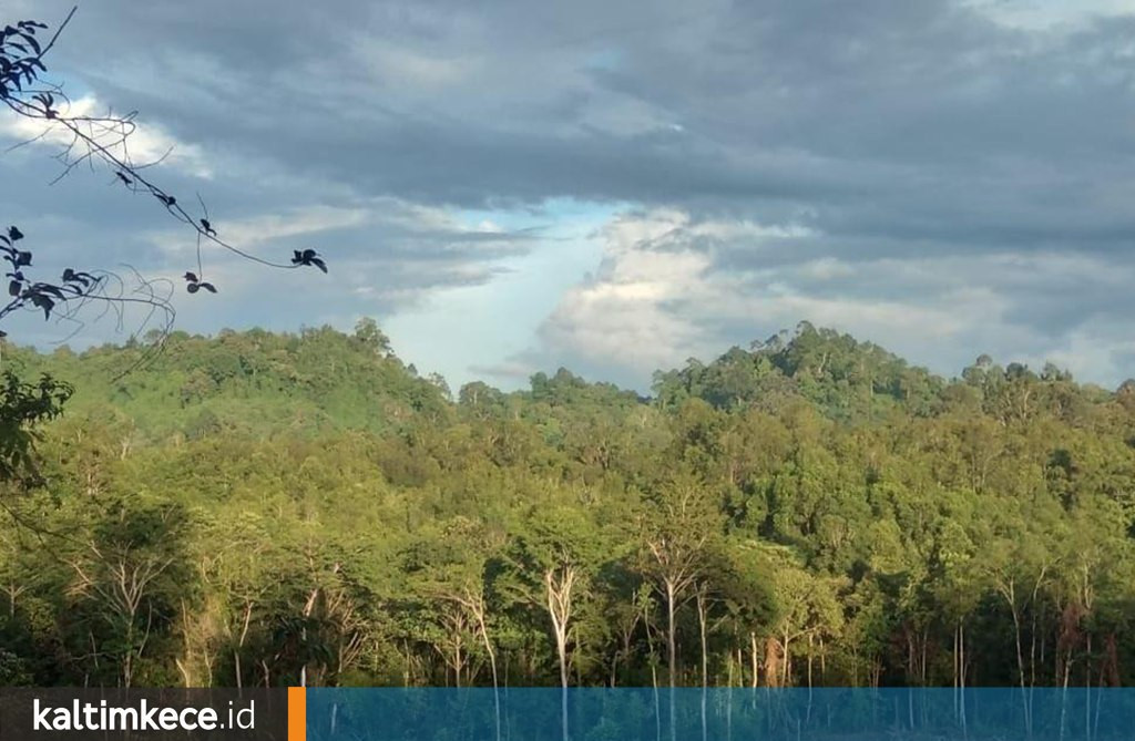 Menyelamatkan Sumber Air di Gunung Layung, Empat Desa di Kutai Barat Tolak Kehadiran Tambang
