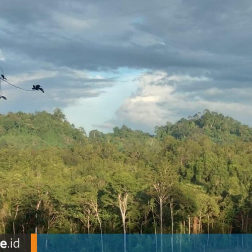 Menyelamatkan Sumber Air di Gunung Layung, Empat Desa di Kutai Barat Tolak Kehadiran Tambang