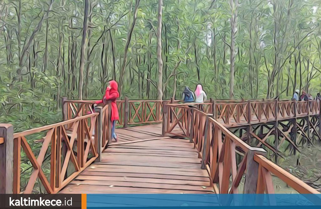 Sistem Daring yang Makin Umum di Kampung Baru, Ekowisata Mangrove pun Kian Populer