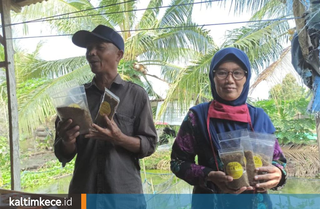 Cara Ibu-Ibu di Senipah, Kutai Kartanegara, Berkebun Jahe di Pekarangan hingga Jadi Produk Olahan