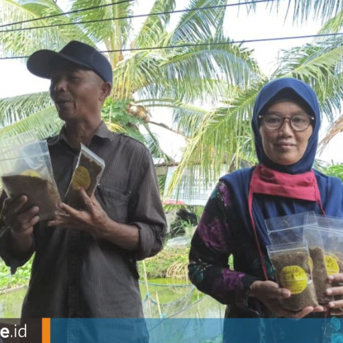 Cara Ibu-Ibu di Senipah, Kutai Kartanegara, Berkebun Jahe di Pekarangan hingga Jadi Produk Olahan