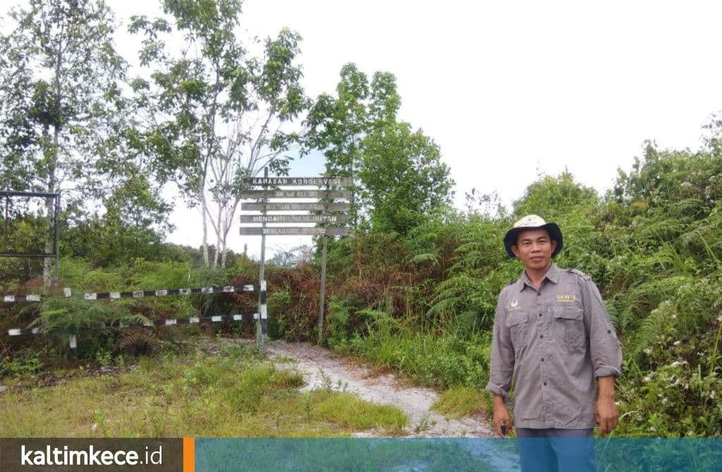 Ragam Kelangkaan di Cagar Alam Padang Luway, Surga Tersembunyi yang Dilindungi