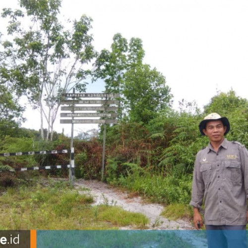Ragam Kelangkaan di Cagar Alam Padang Luway, Surga Tersembunyi yang Dilindungi