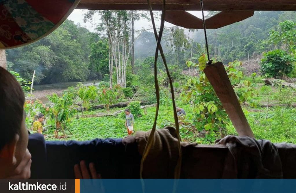 Petinggi Kampung di Mahulu Diingatkan Jangan Tergiur Anggaran Besar tapi Tak Kompeten Mengelola