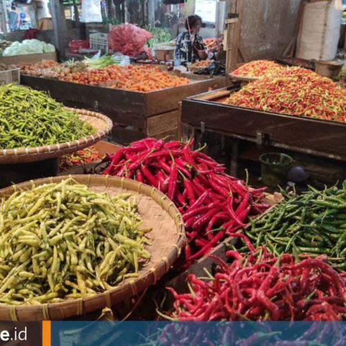 Stok Hanya Cukup untuk Sebulan, Warga Kaltim Diminta Ganti Cabai dengan Sambal Botolan