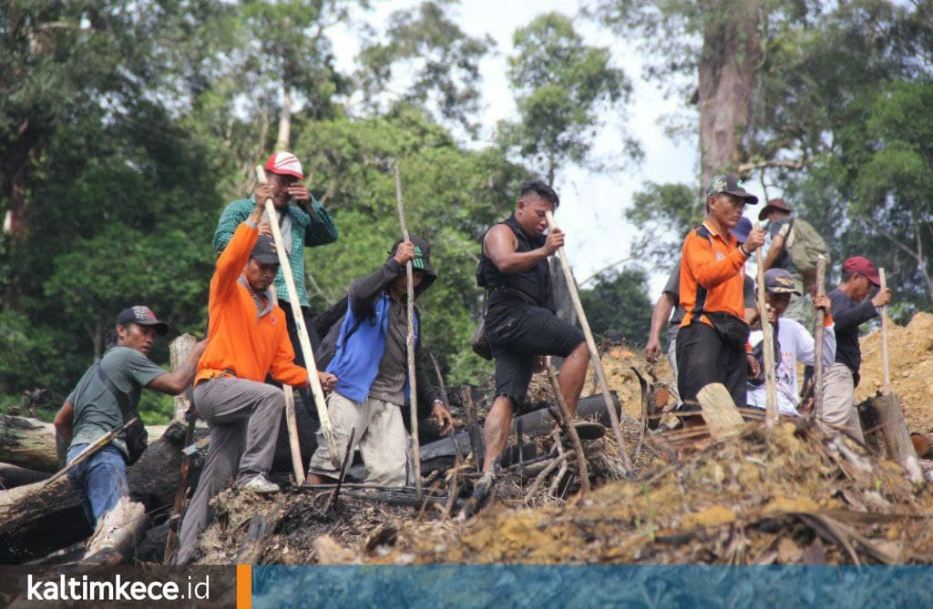 Program Ketahanan Pangan Mahulu, 500 Hektare Lahan Kampung Disulap Jadi Kawasan Pertanian Modern