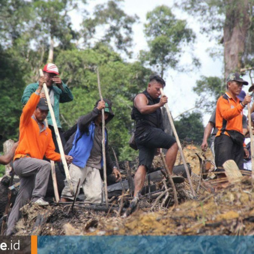 Program Ketahanan Pangan Mahulu, 500 Hektare Lahan Kampung Disulap Jadi Kawasan Pertanian Modern