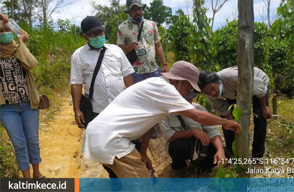 Ketika Tiga Desa di Kutim Belajar Budi Daya untuk Mengelola dan Menjaga Kawasan Berhutan yang Mereka Punya