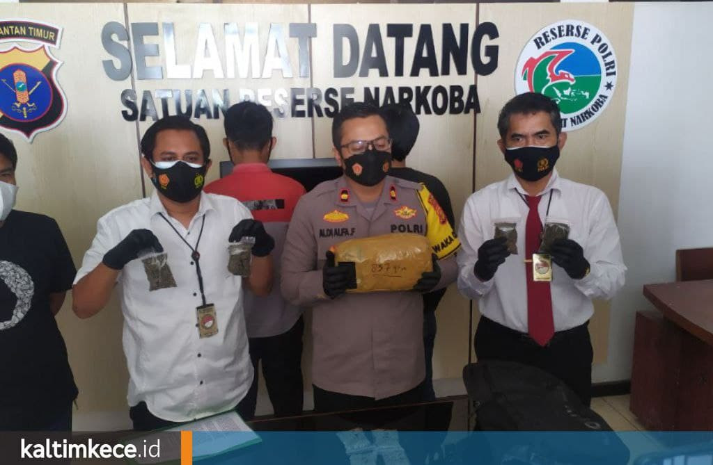 Pengiriman 1 Kilogram Ganja dari Medan ke Kukar Terungkap, Modus Alamat Fiktif via Jasa Ekspedisi