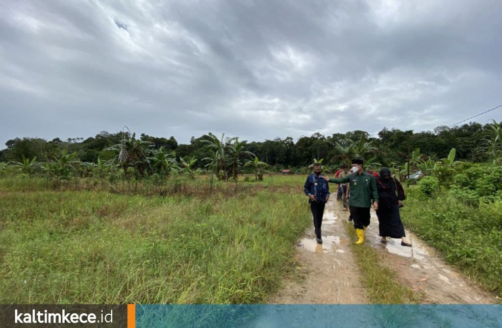 Rencana TPS 3R di Samarinda, Ubah Sampah Jadi Bernilai, Ranting Pohon Jadi Listrik 4000 Watt