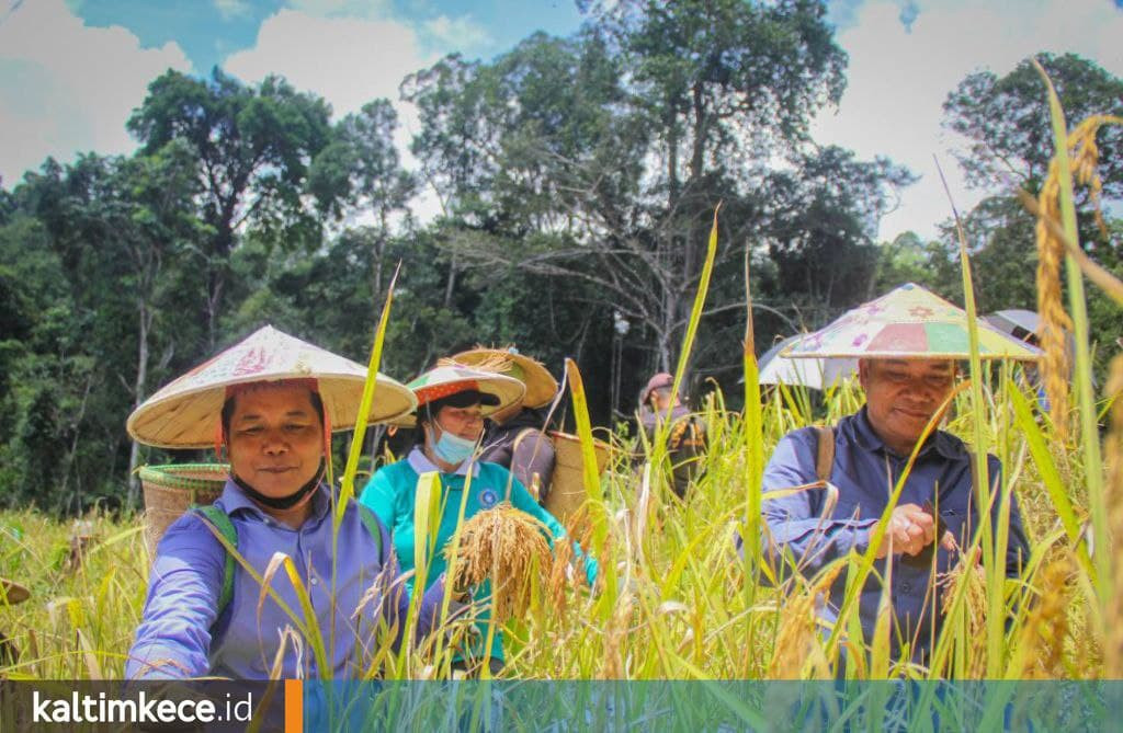 Sudah 82 Persen Kampung di Mahulu Usulkan Calon Lahan Pertanian Menetap dan Modern