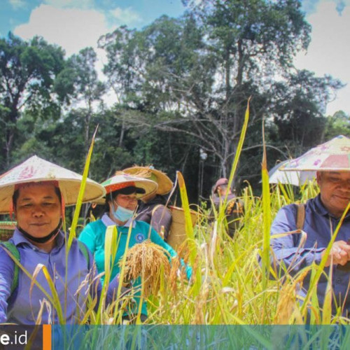 Sudah 82 Persen Kampung di Mahulu Usulkan Calon Lahan Pertanian Menetap dan Modern