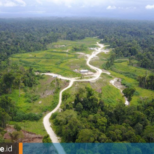 Kutai Timur Berhasil Selamatkan 77 Ribu Hektare Hutan di Dalam Izin Perkebunan Kelapa Sawit