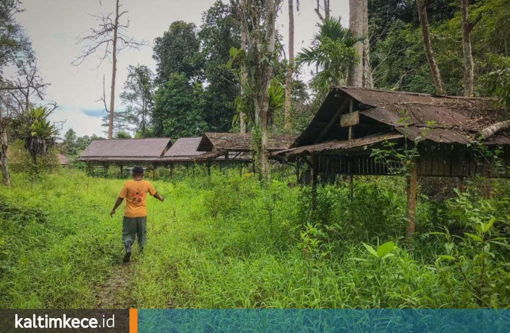 Nestapa Air Terjun Tanah Merah, Pengunjung Sepi karena Lumpur Tambang, Bangunan Ditelan Ilalang