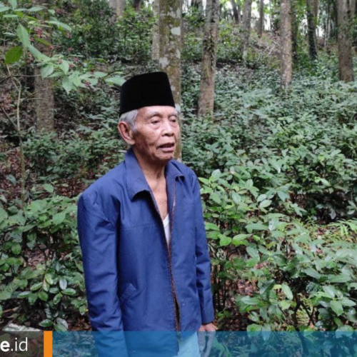 Kisah Suhendri Membangun Hutan Kota di Kediamannya, Sempat Tolak Tawaran Rp 10 Miliar