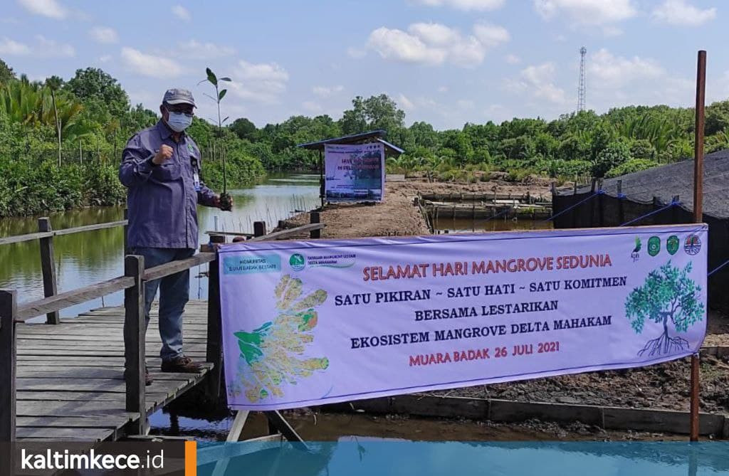 Mangrove Delta Mahakam Terus Tergerus, Menjalankan Tambak Ramah Lingkungan Kian Krusial