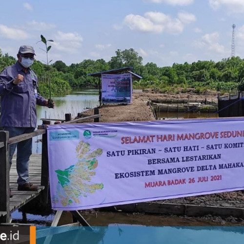 Mangrove Delta Mahakam Terus Tergerus, Menjalankan Tambak Ramah Lingkungan Kian Krusial