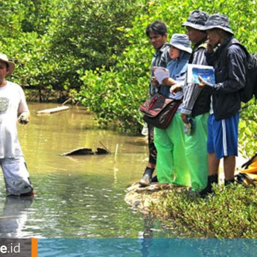 Bagaimana Empat Srikandi Unmul dari Disiplin Ilmu Berbeda Bersatu Selamatkan Mangrove Delta Mahakam