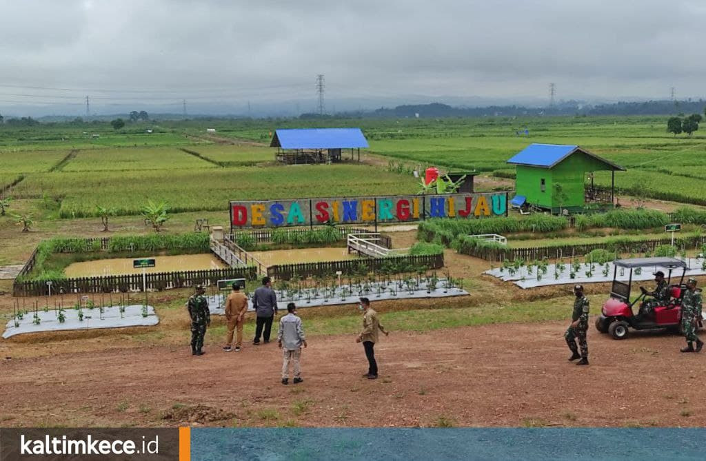 Kukar di Ambang Krisis Petani dan Program Petani Milenial yang Diharapkan Jadi Solusinya