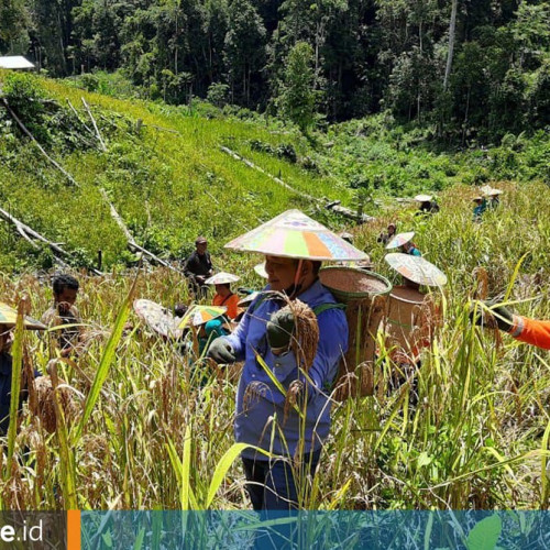 Berdikari Pangan, Pemkab Mahulu Persiapkan Beragam Program Unggulan Pertanian