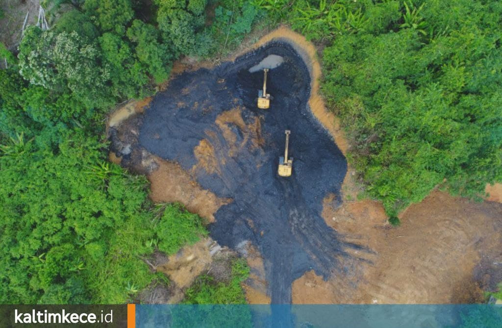 Hutan Lenyap di Berau Setara Enam Kali Samarinda, Suhu Naik dan Angka Kematian Penduduk Meningkat