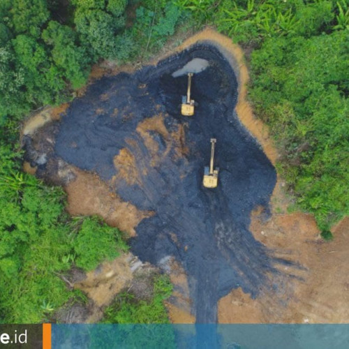 Hutan Lenyap di Berau Setara Enam Kali Samarinda, Suhu Naik dan Angka Kematian Penduduk Meningkat