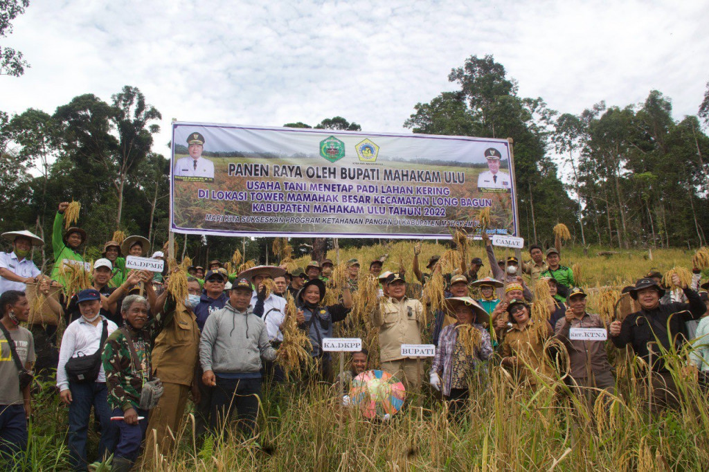 Yakinkan Petani dengan Bukti, Hasil Panen Padi di Ladang Percontohan Meningkat Berkat Sentuhan Teknologi