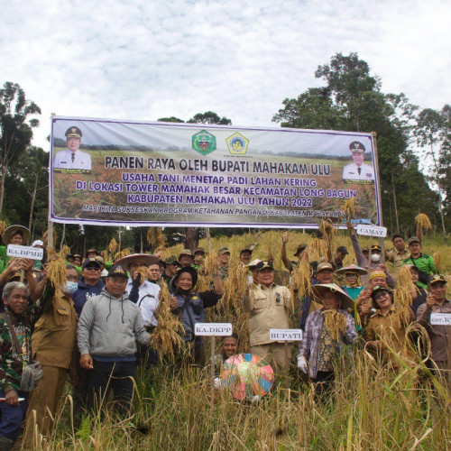 Yakinkan Petani dengan Bukti, Hasil Panen Padi di Ladang Percontohan Meningkat Berkat Sentuhan Teknologi