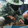 Arti Hutan dan Lebah Bagi Warga Desa di Kutim, Sumber Kehidupan yang Dibawa KalFor Project