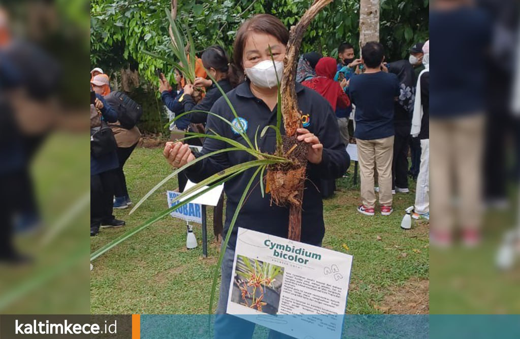 Ikut Perbaiki Fungsi Hutan, Ketua TP PKK Mahulu Tanam Pohon di Kebun Raya Balikpapan