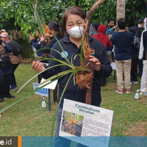 Ikut Perbaiki Fungsi Hutan, Ketua TP PKK Mahulu Tanam Pohon di Kebun Raya Balikpapan