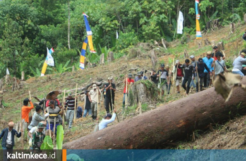 Menakar Kepedulian Terhadap Petani Mahulu dari Dukungan Anggaran