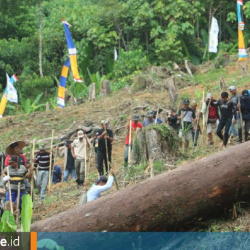 Menakar Kepedulian Terhadap Petani Mahulu dari Dukungan Anggaran