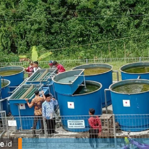 Solusi Air Minum Sehat Untuk Indonesia